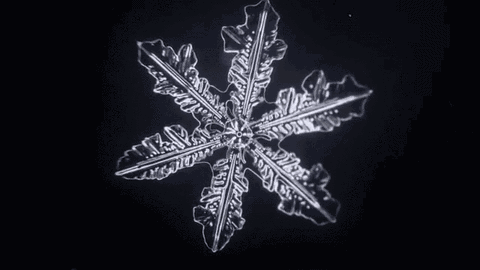 雪花珠宝让你美丽不冻人瓦力游戏冬季浪漫必备！(图1)