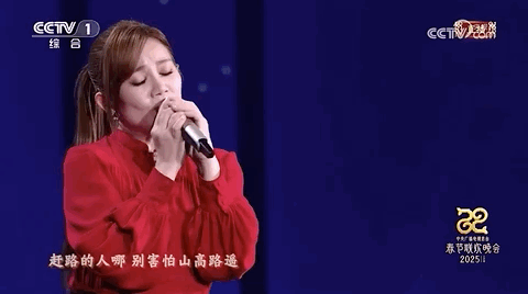 搭！王菲、赵雅芝等20位女明星穿搭解析瓦利棋牌2025年春晚带火了新中式穿(图3)