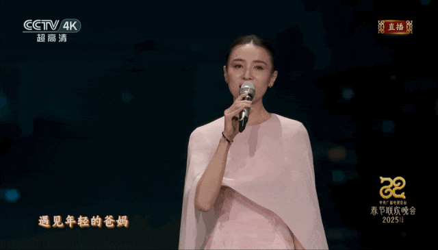 搭！王菲、赵雅芝等20位女明星穿搭解析瓦利棋牌2025年春晚带火了新中式穿(图12)